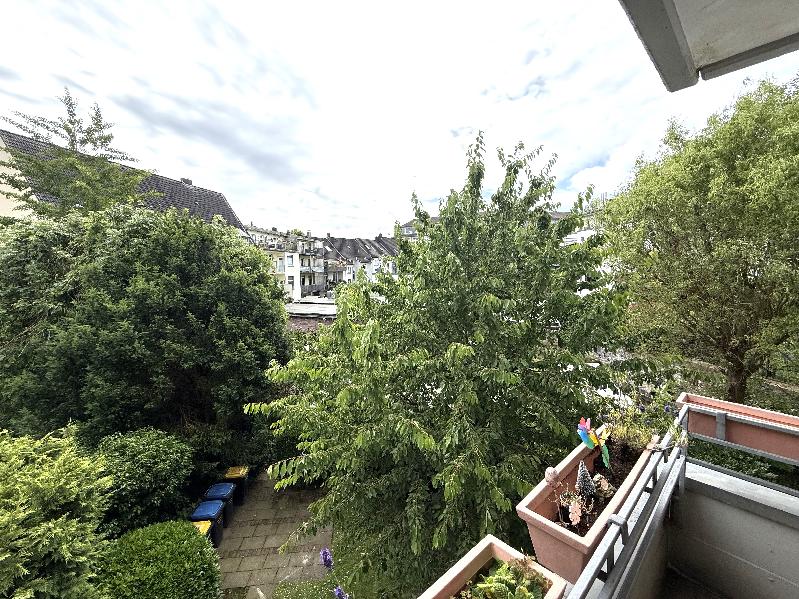 Blick ins Grüne